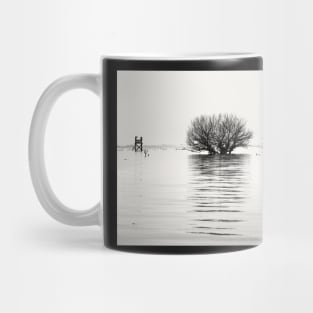 The Weeping Meadow Mug